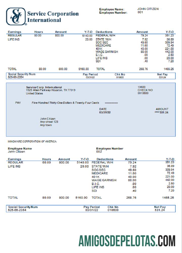 Recibo de pagamento de empresa discricionária de consumo internacional da USA Service Corp. modelo